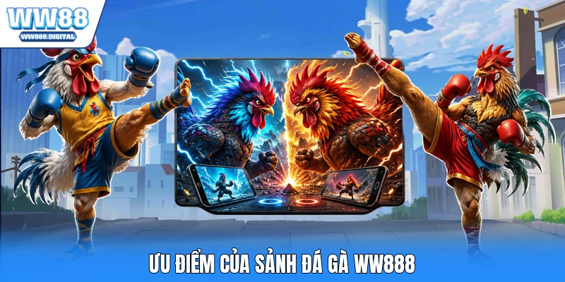 Ưu điểm của sảnh đá gà WW888